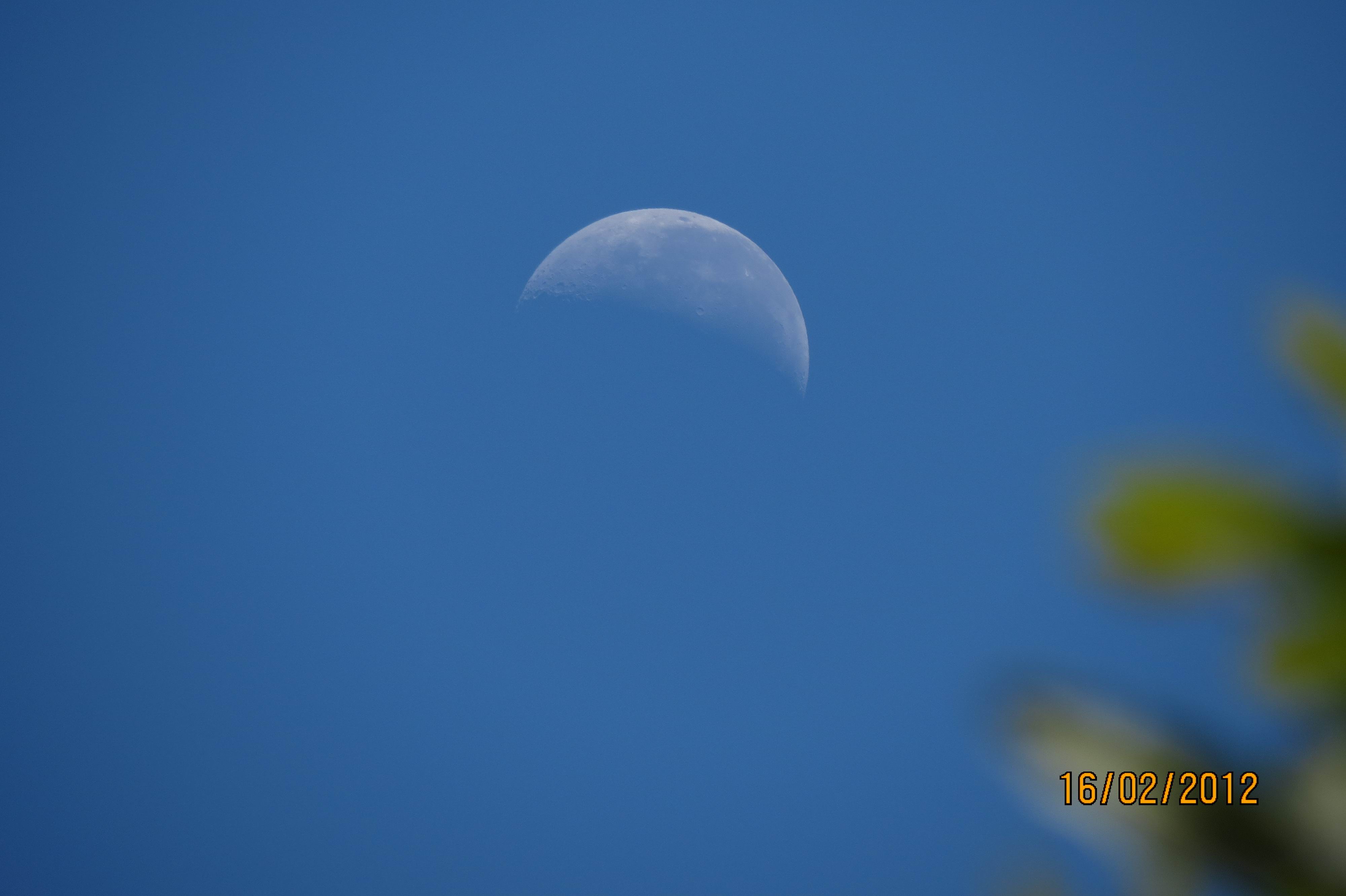 Picture 046a.jpg