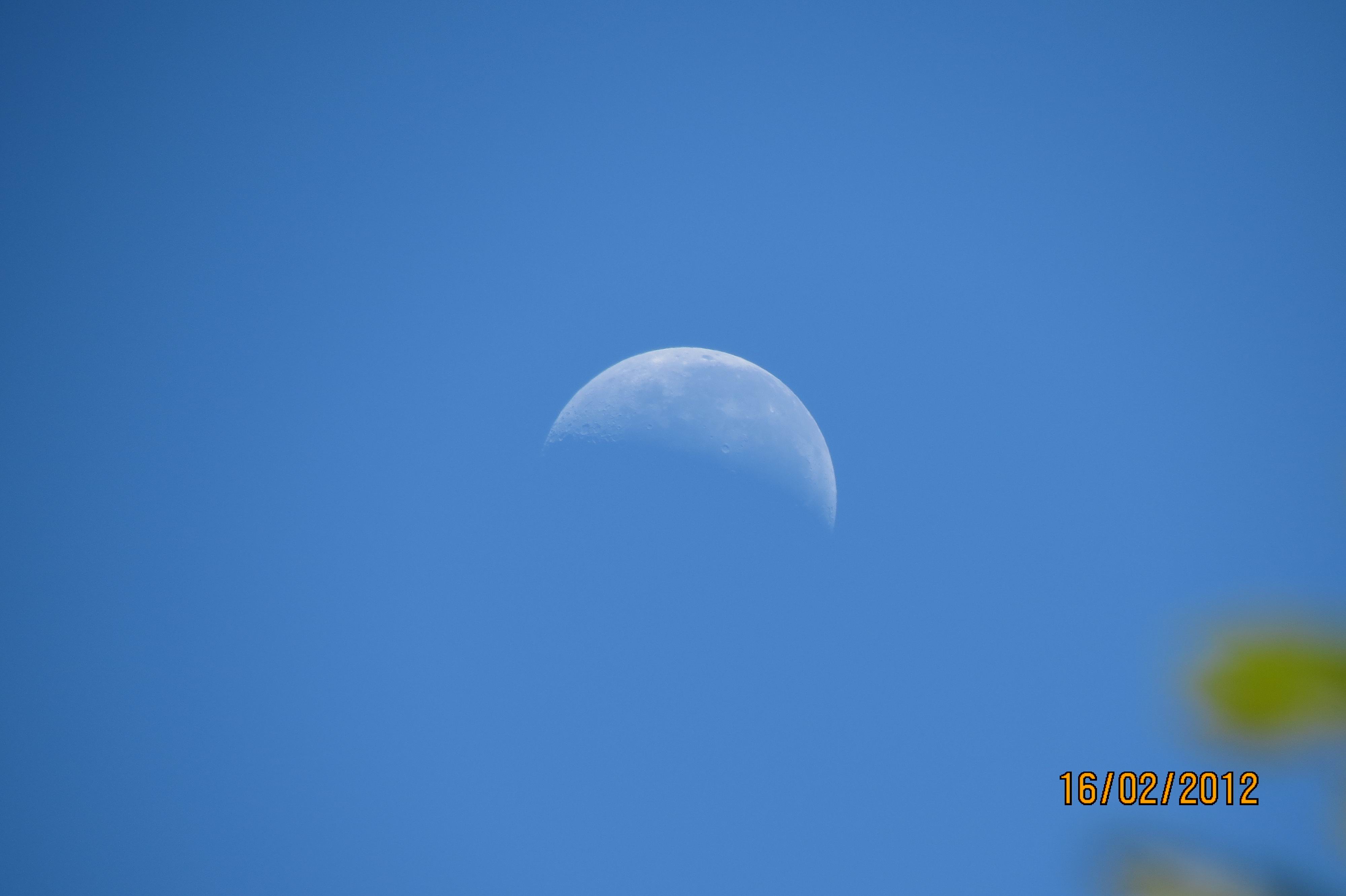 Picture 049a.jpg
