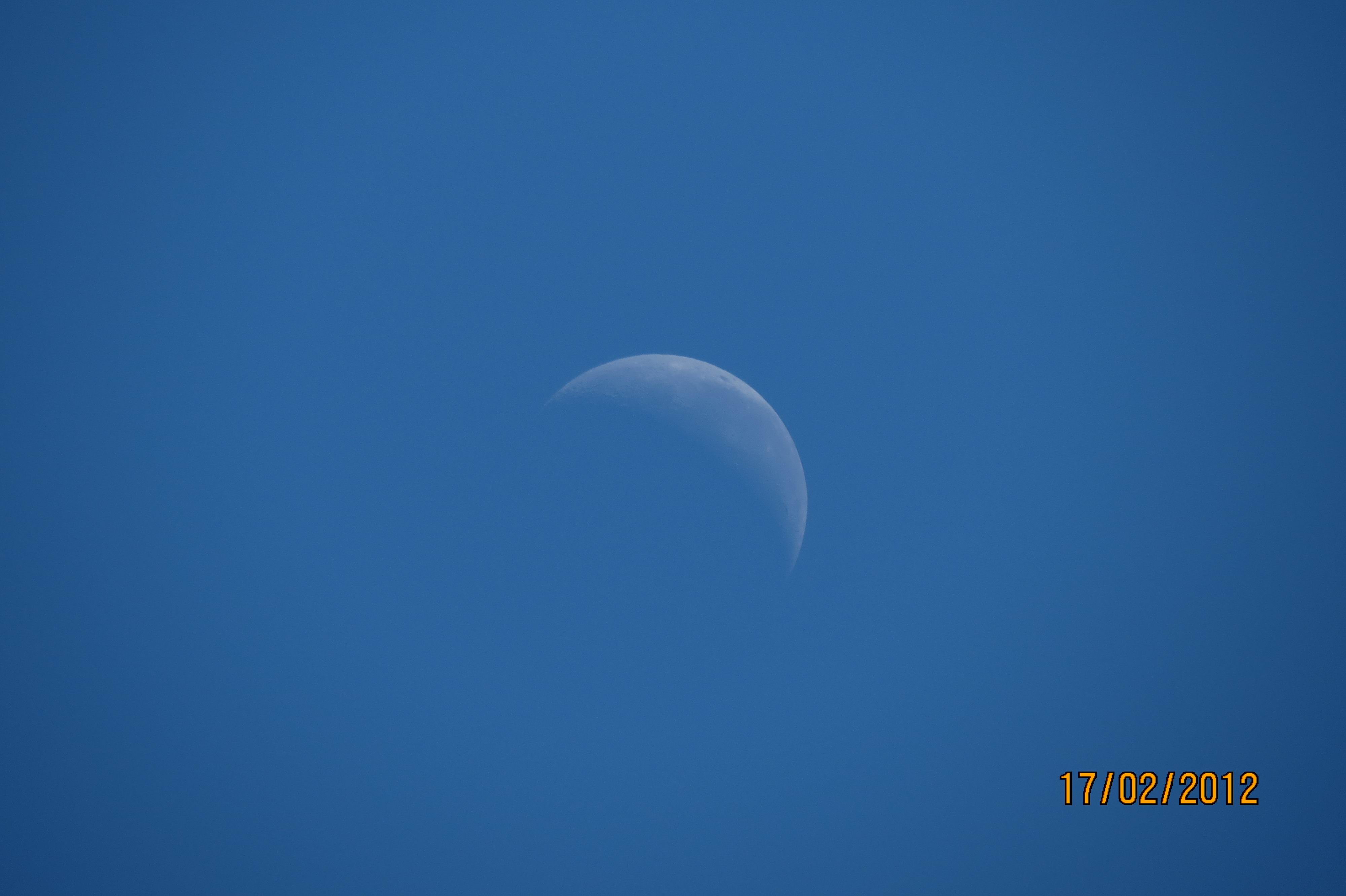 Picture 085a.jpg
