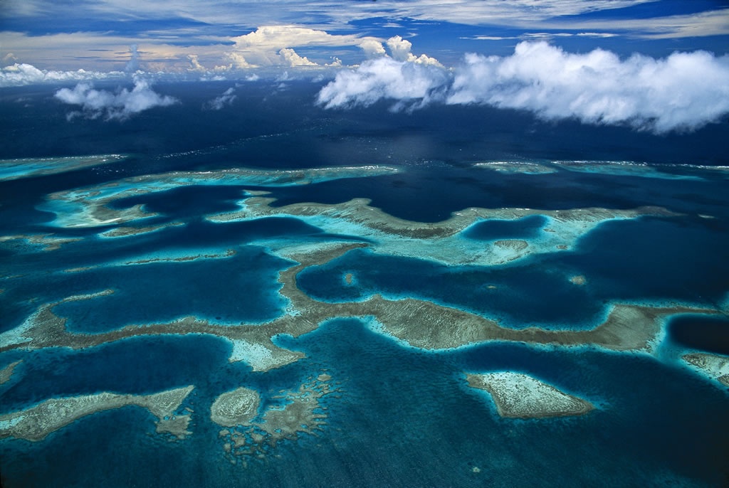 Coral reef in Neuika, New Caledonia, France.jpg