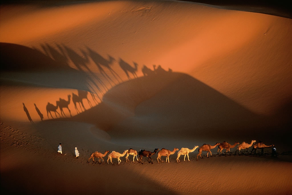 Dromedary Caravan near Nouakchott, Mauritania.jpg