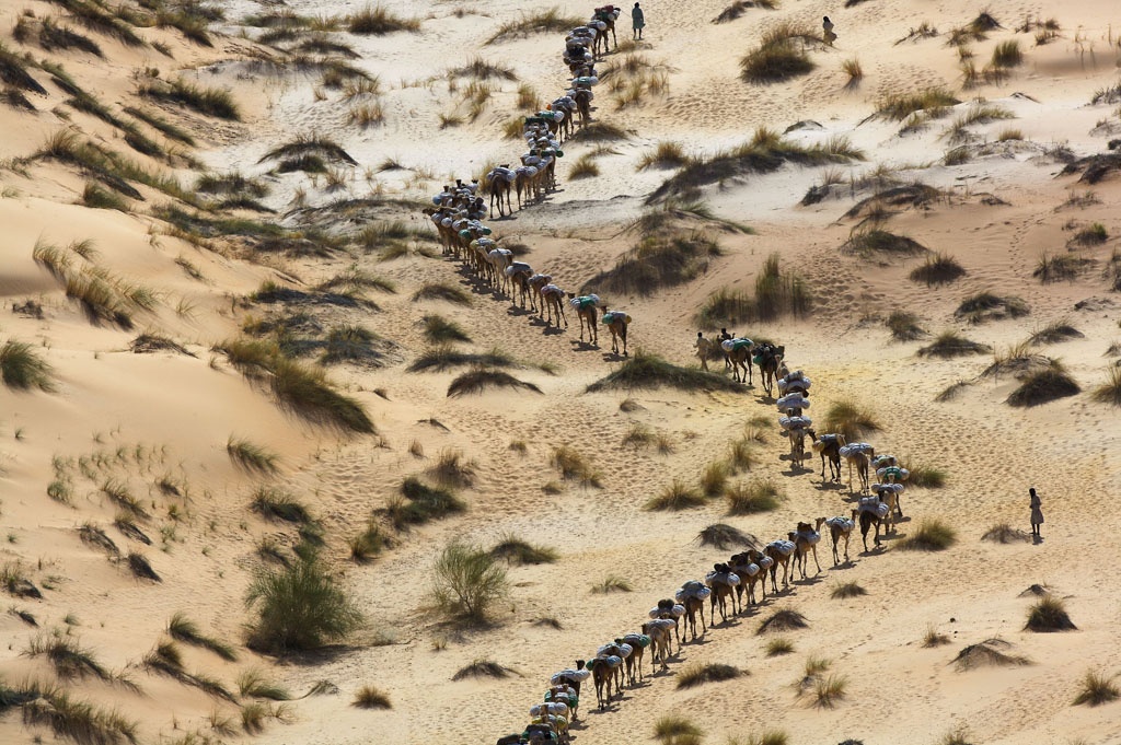 Dromedary caravan near Tichit, Mauritania.jpg