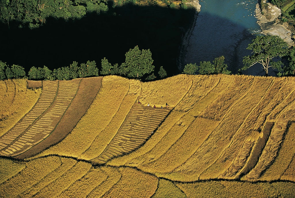 Field cultivation near Pokhara, Kali Gandaki Valley, Népal.jpg