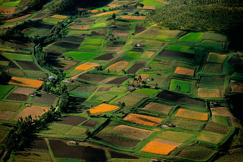 Fields near Quito, Sierra region, Ecuador.jpg