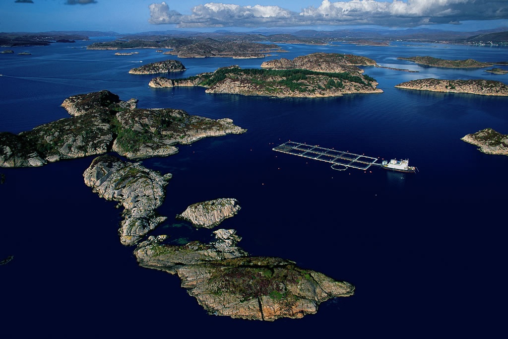 Fish farm, Boknafjorden, Norway1.jpg