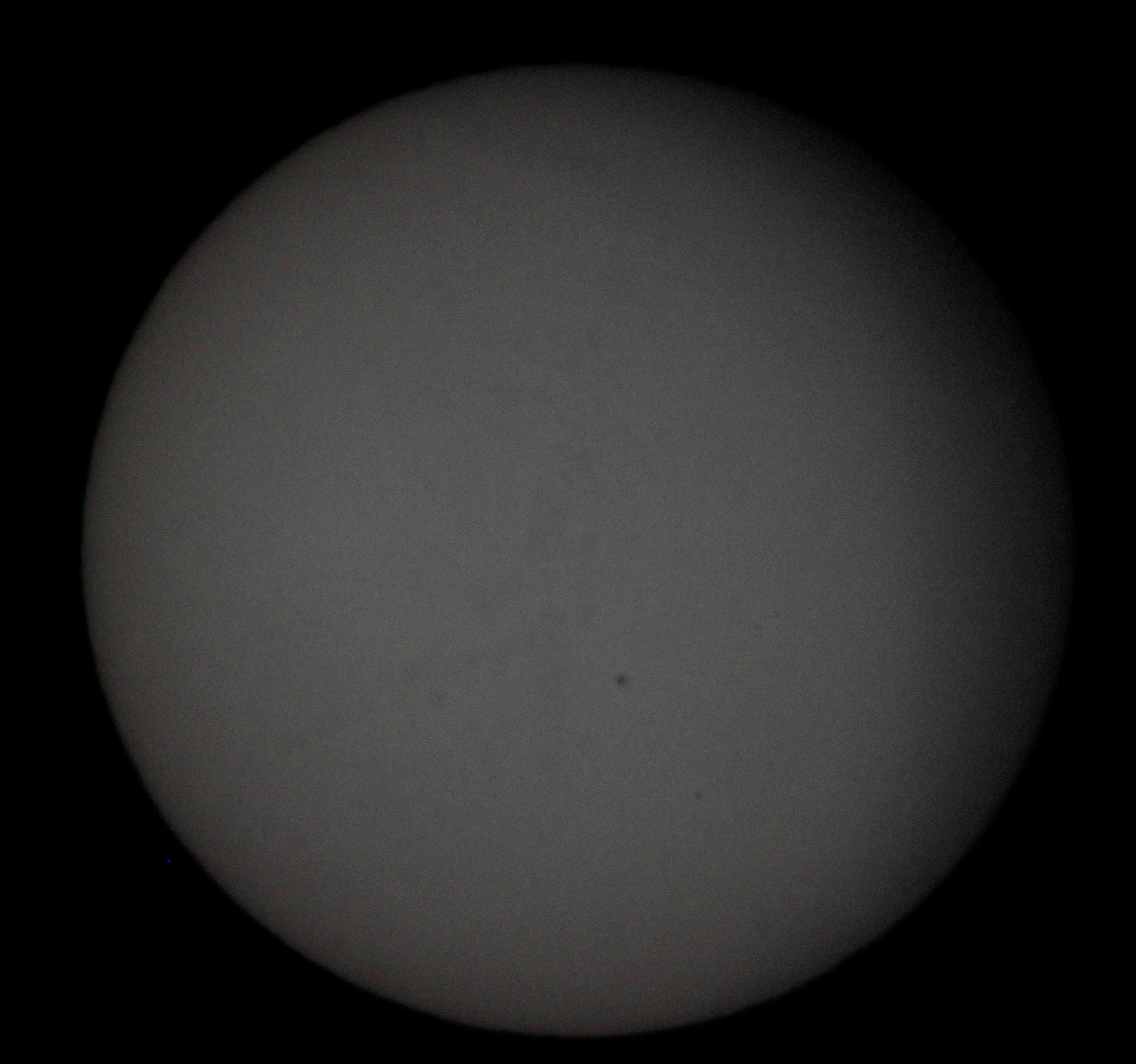 SDC12935.jpg