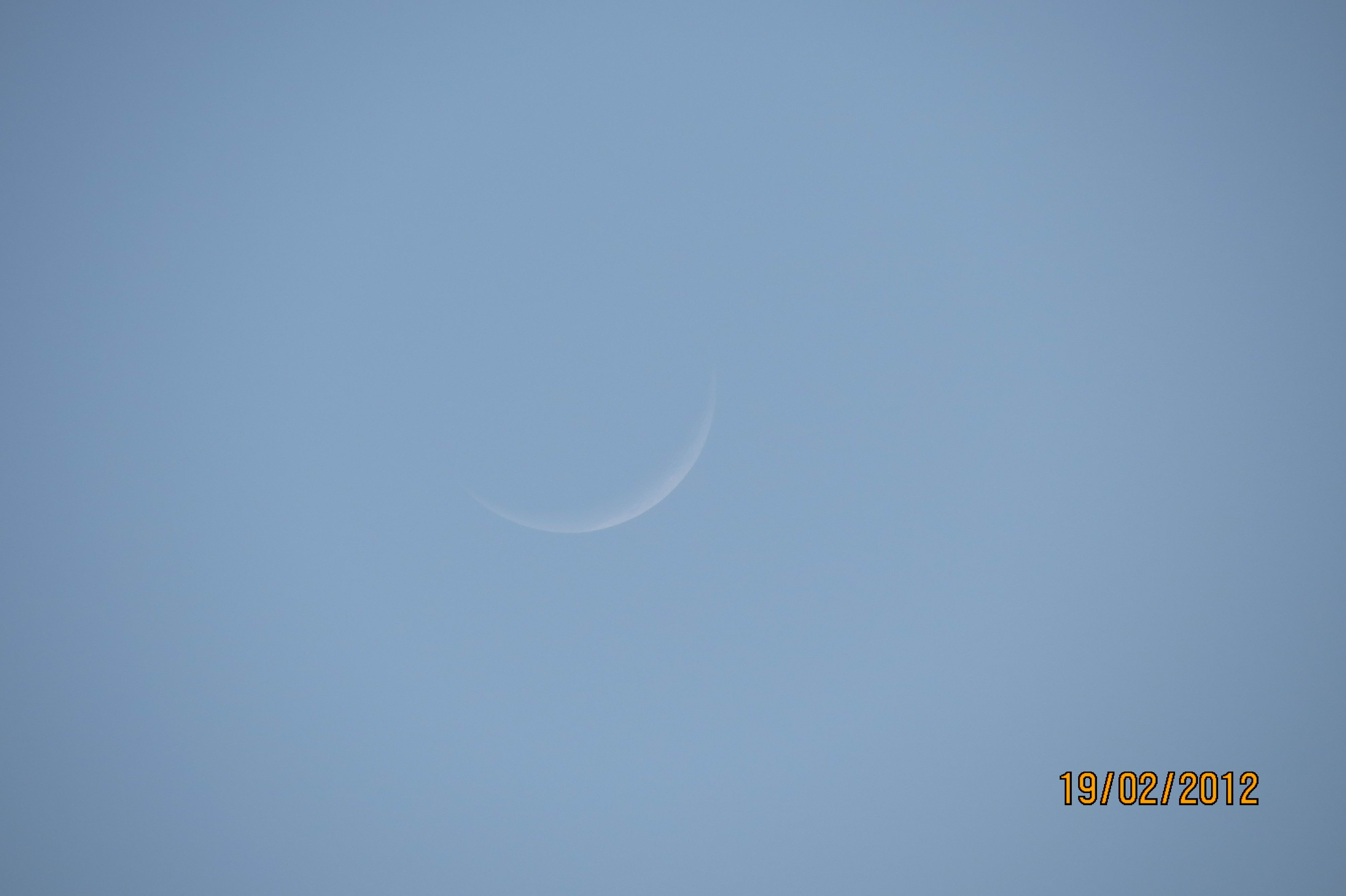 IMG_0414a.jpg