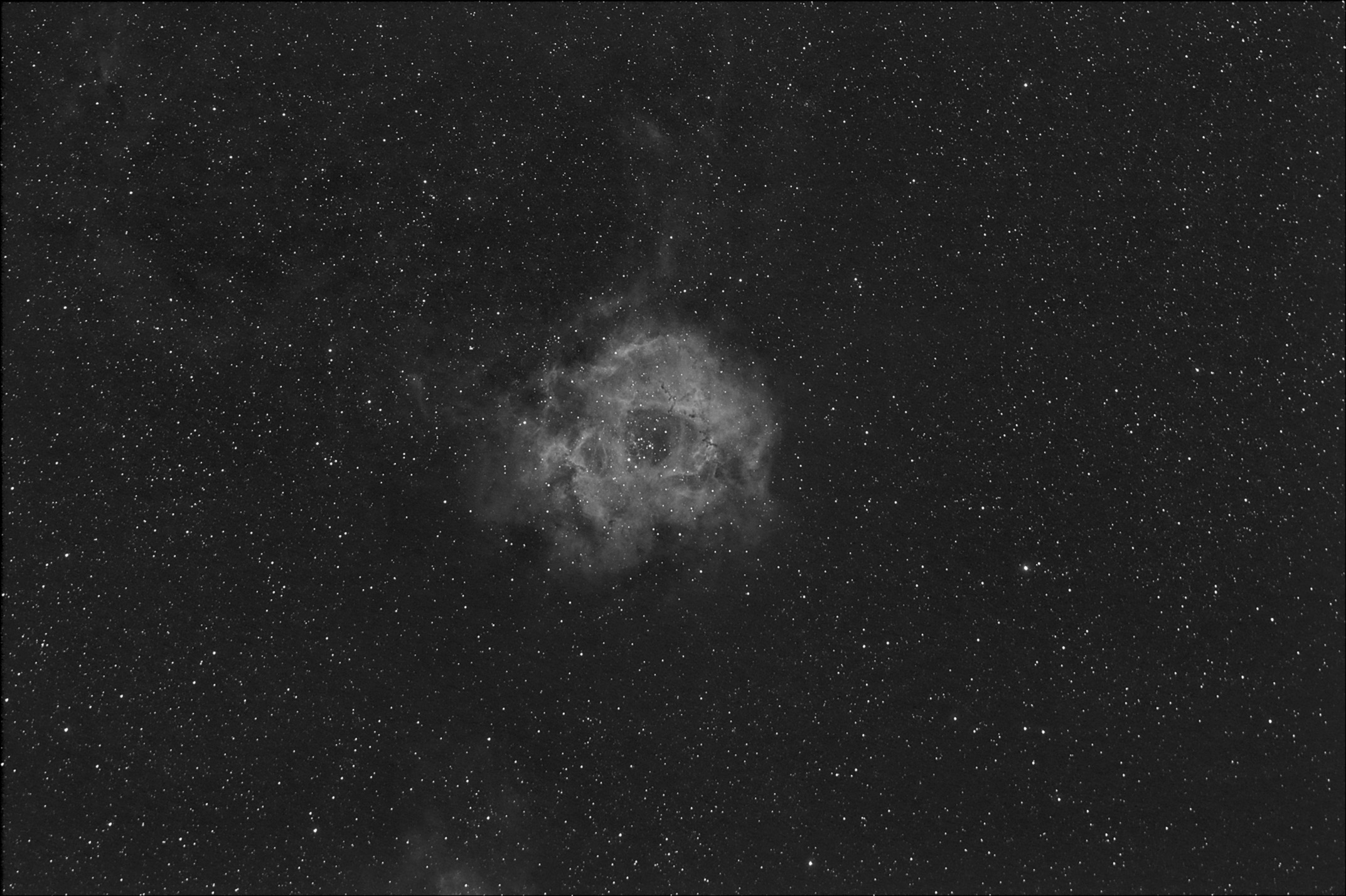 rosette-2.jpg