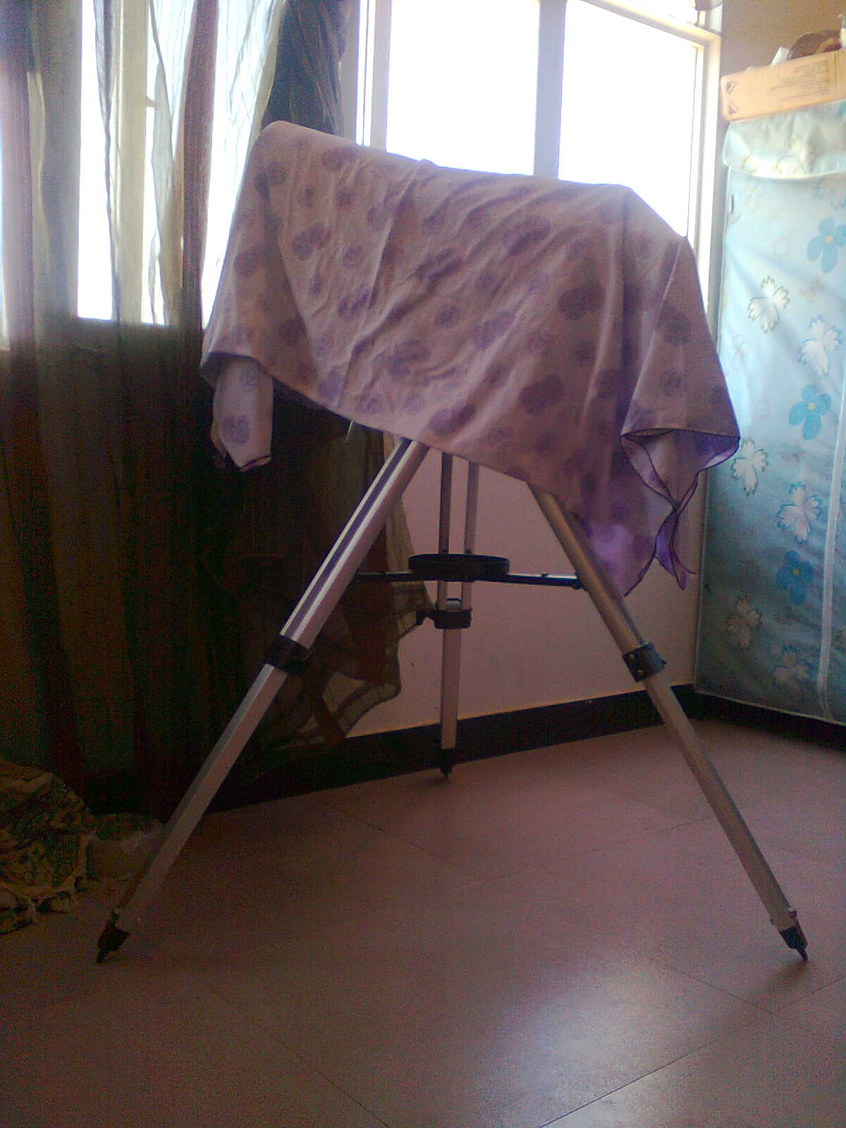 100.jpg