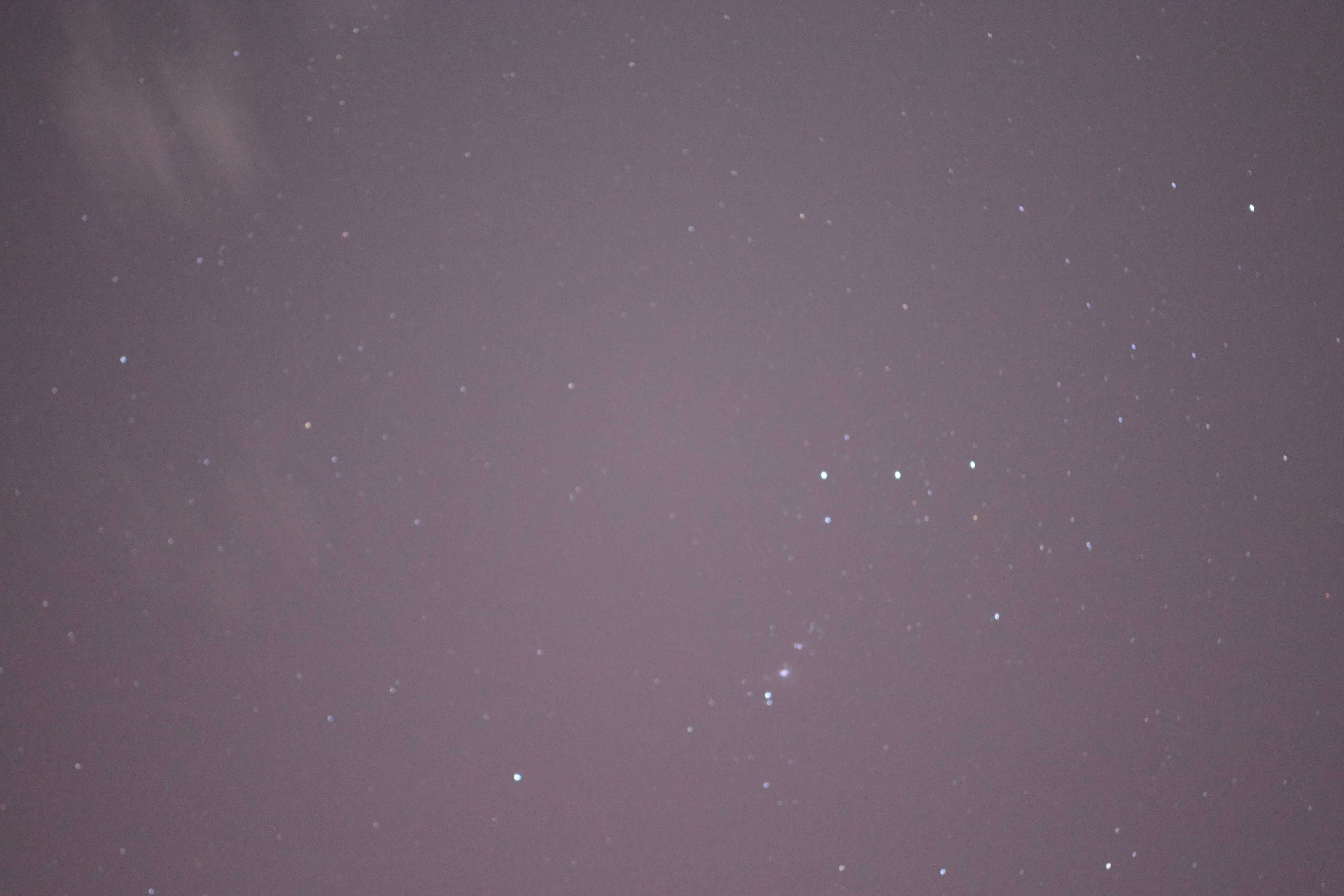 DSC_0065.jpg