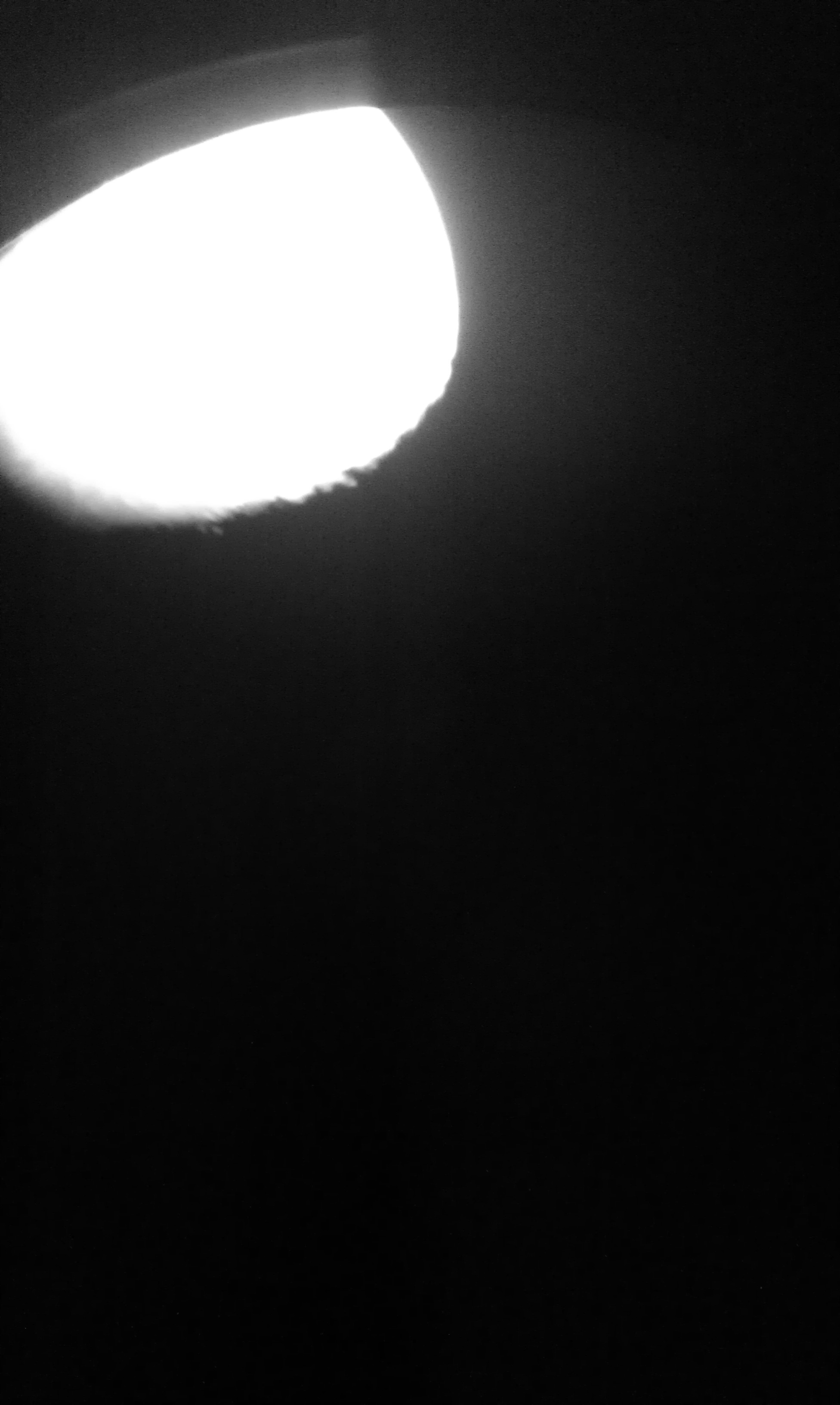 IMAG0133.jpg