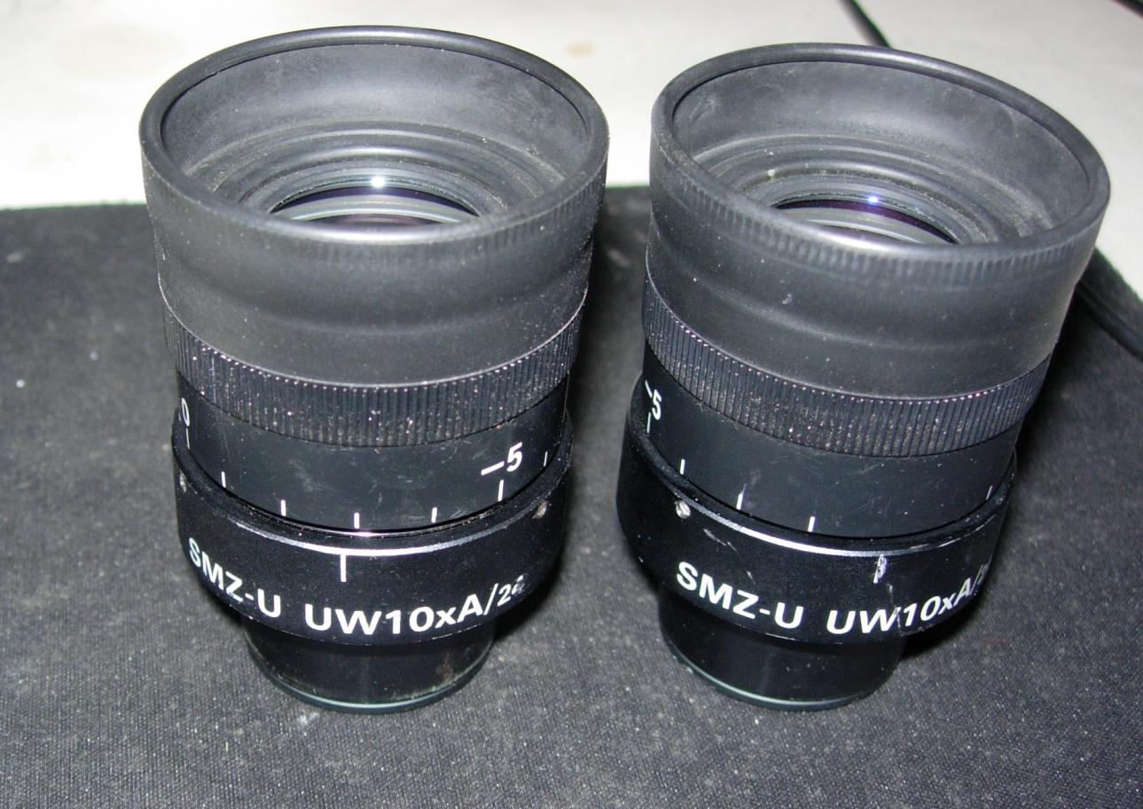 nikon  SMZ-U UW10XA  24    A.jpg