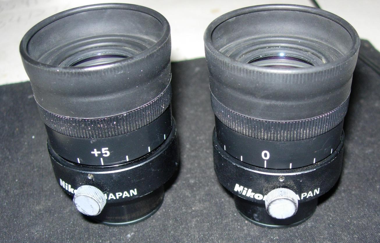 nikon  SMZ-U UW10XA  24    B.jpg