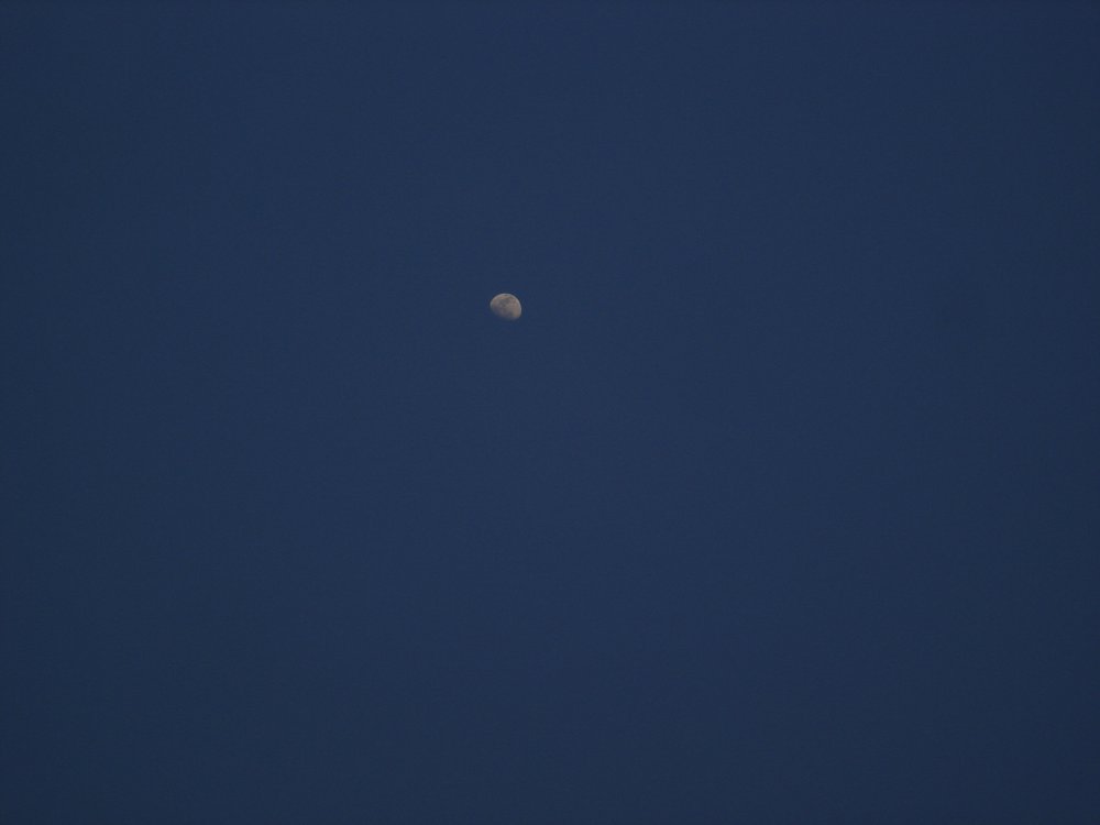 DSC02917.JPG