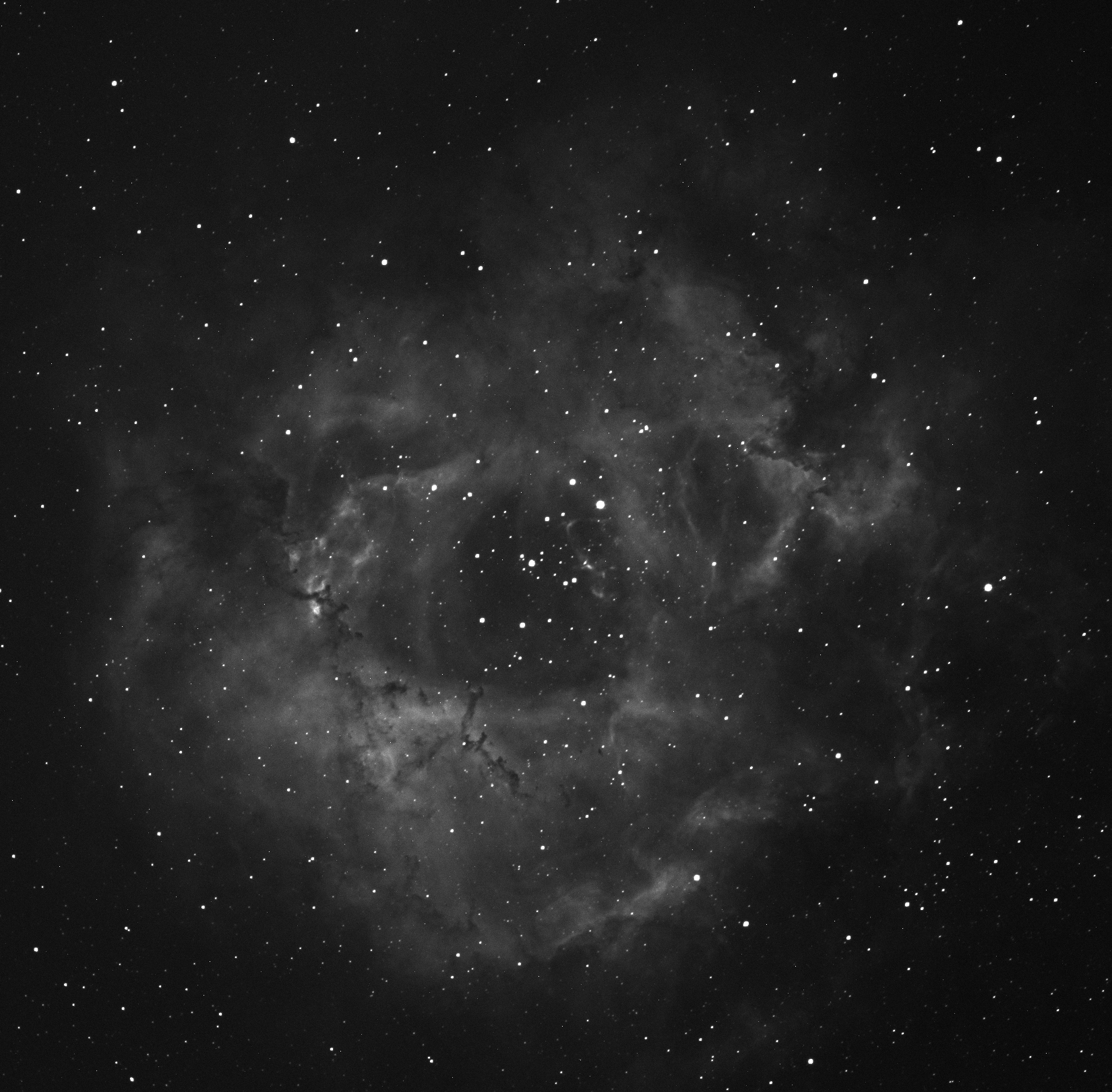 ngc2237.jpg