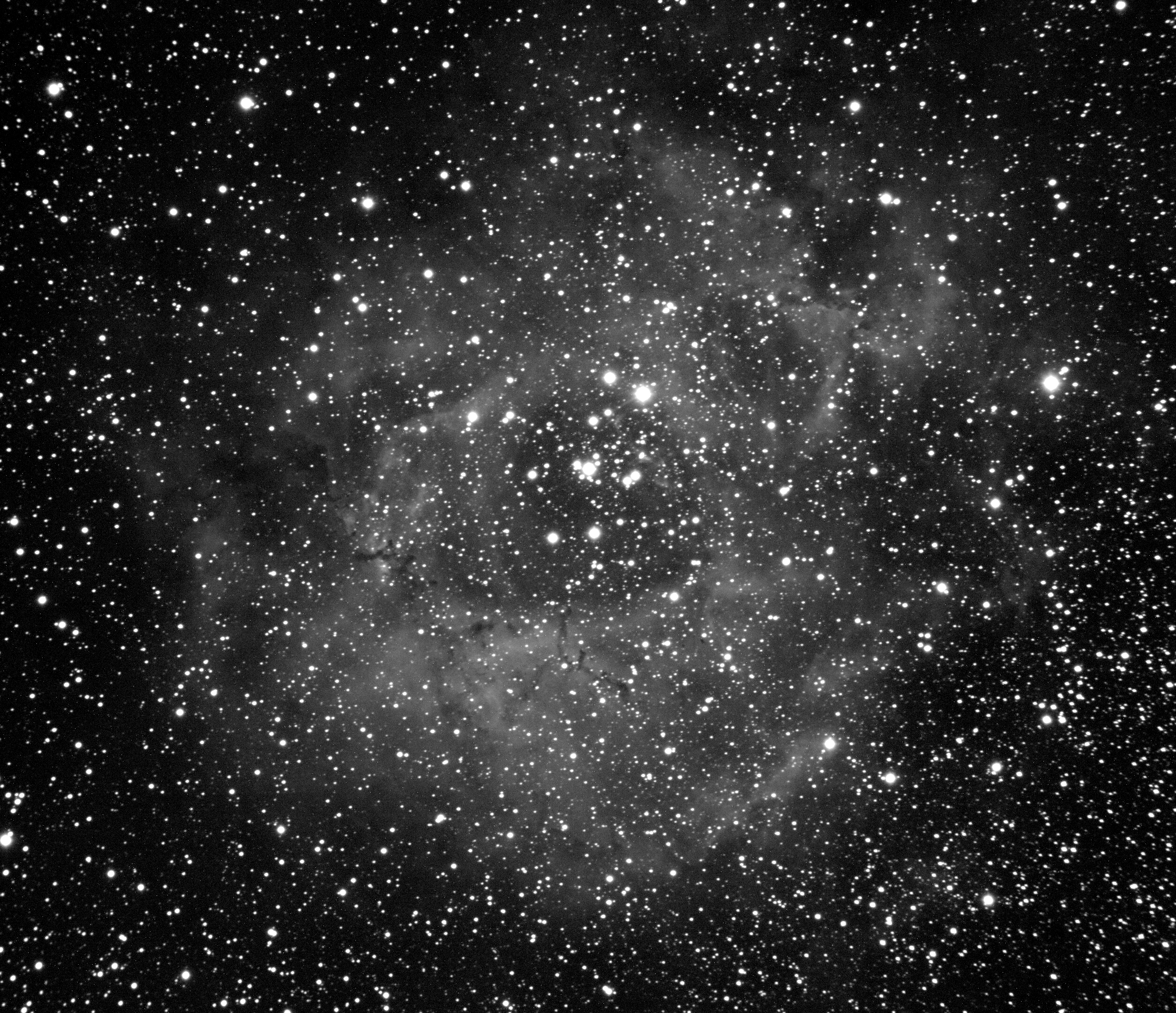 ngc2237.jpg