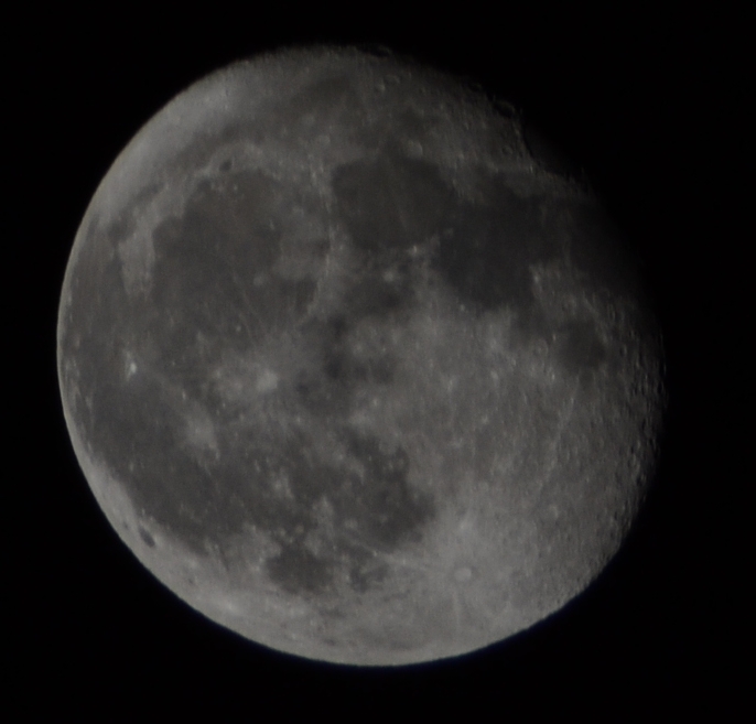 DSC_0105裁.jpg