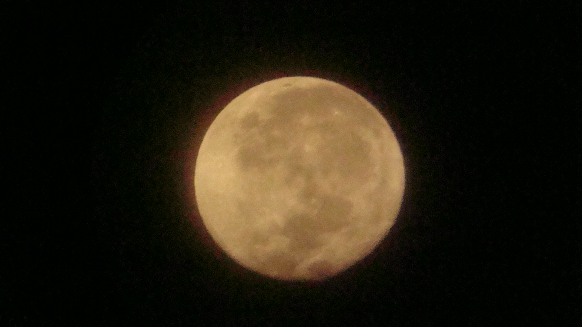DSC02127.JPG