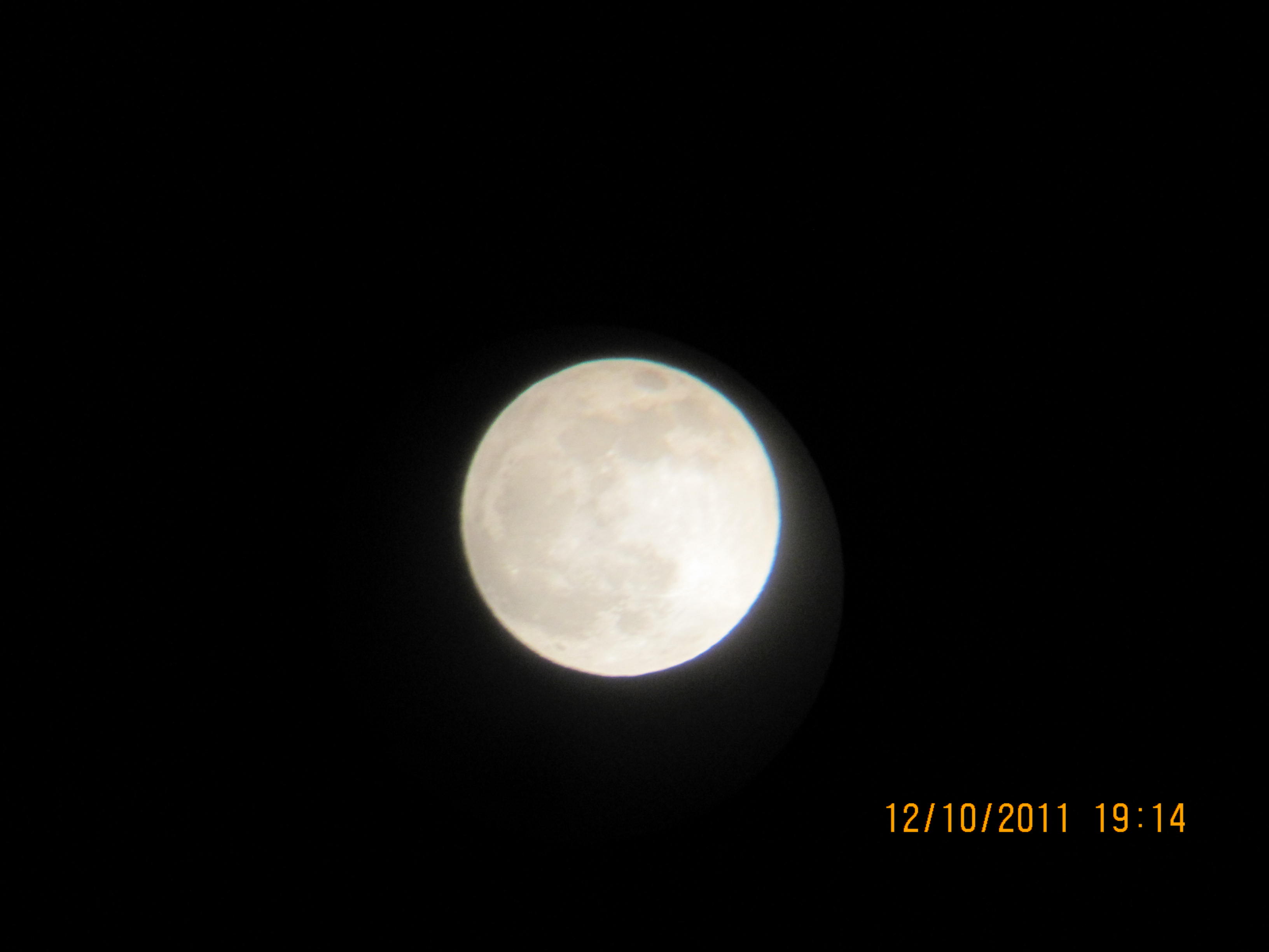 IMG_4380.JPG