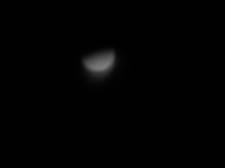 20120306 Venus M.jpg