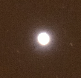 QQ截图20120317115515.png