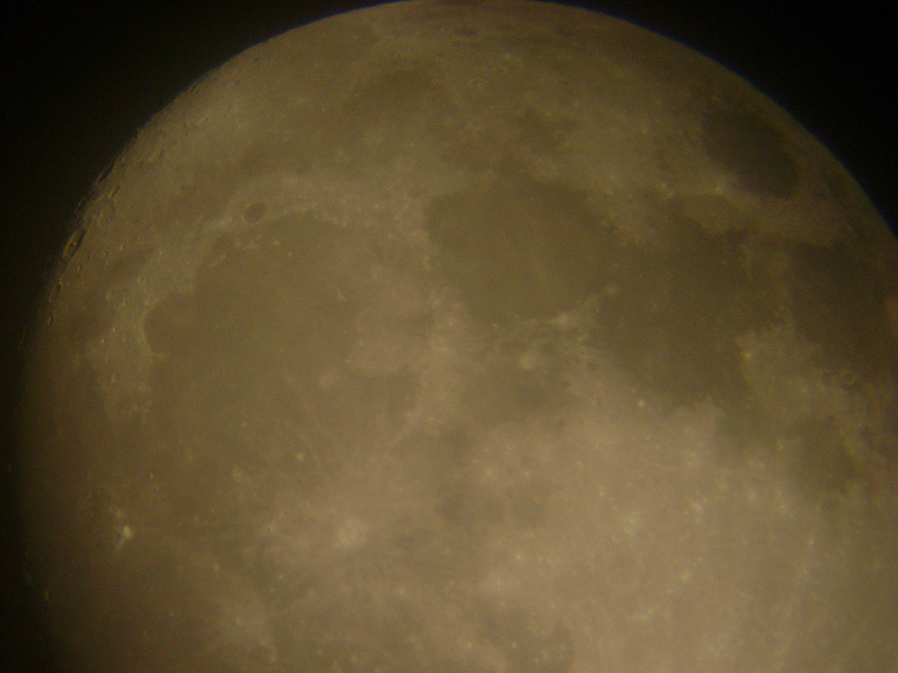 DSC07333.jpg