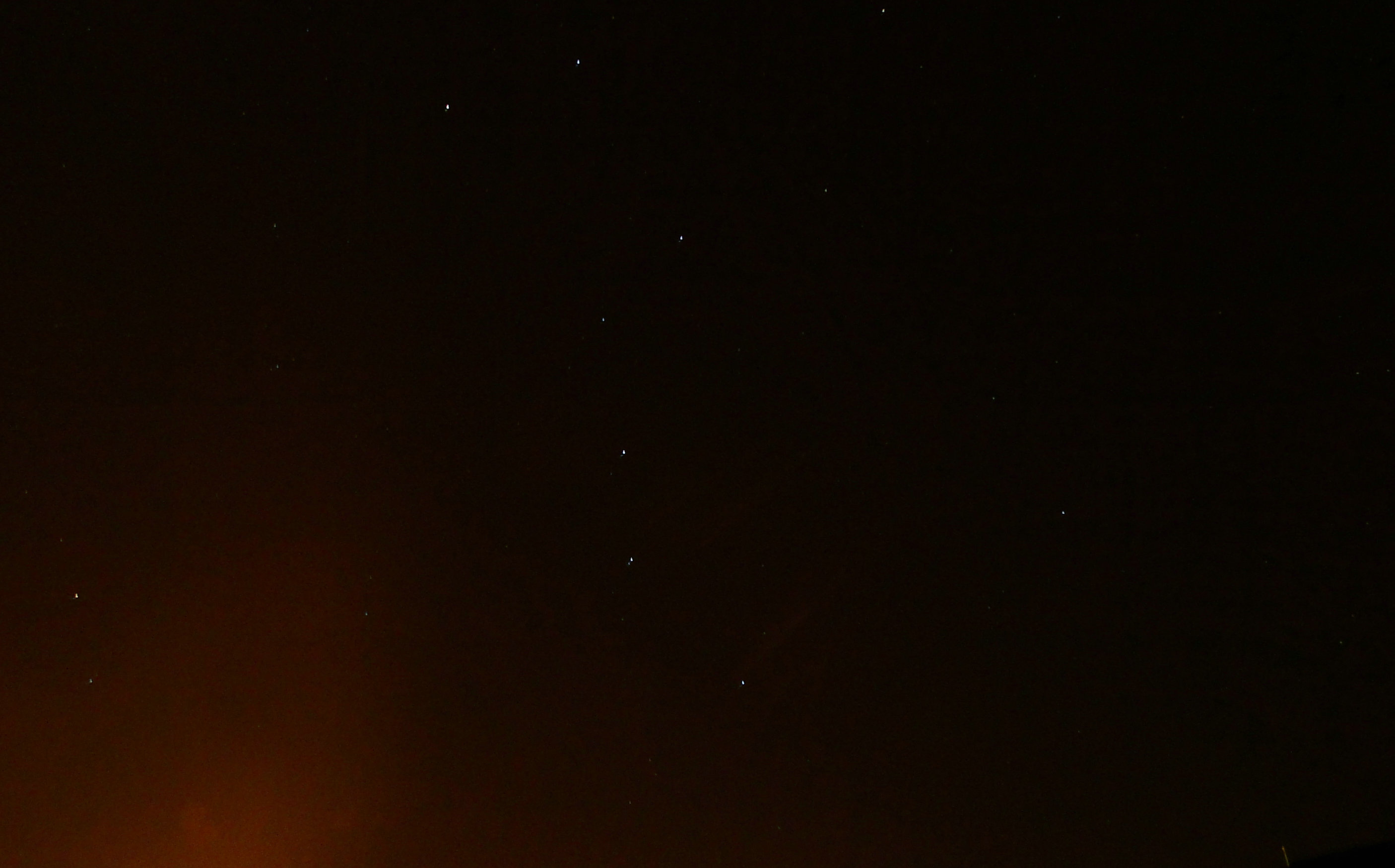 DSC03181.jpg