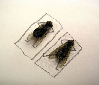 dead_flies_art_03.jpg