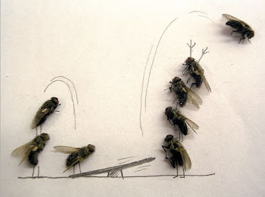 dead_flies_art_05.jpg