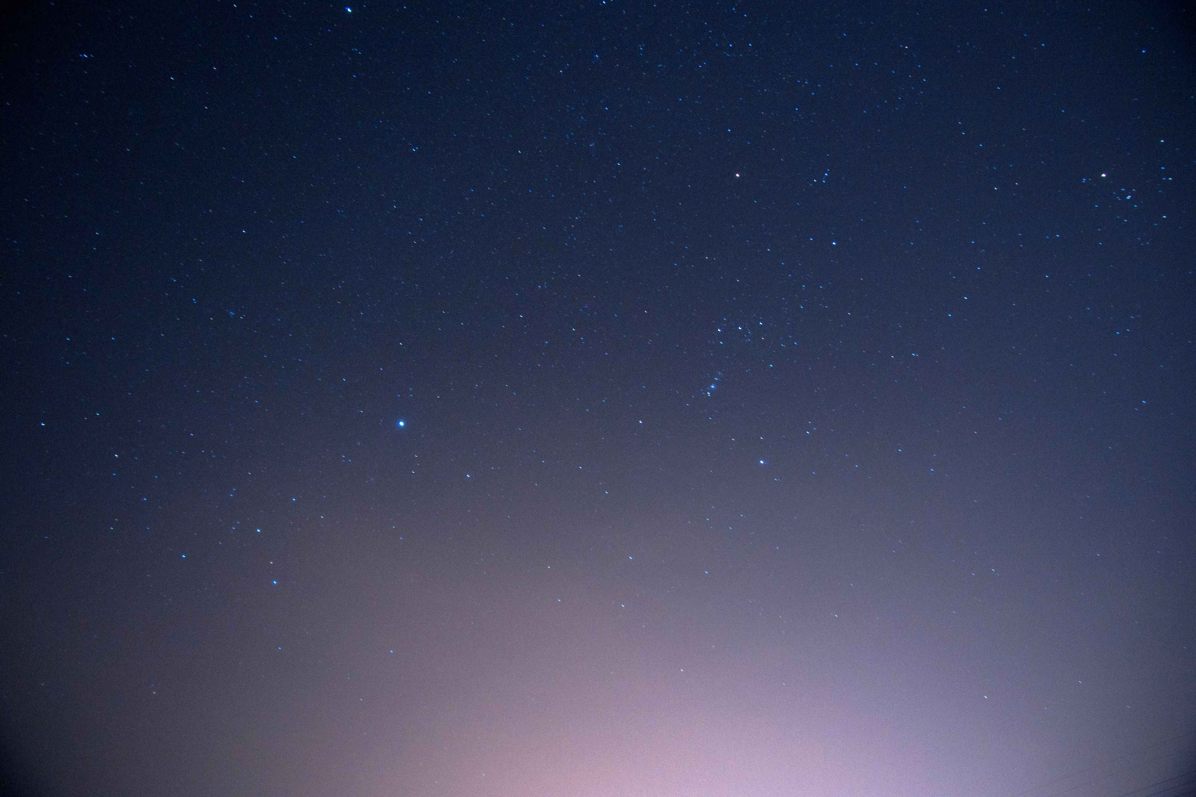 DSC08901-6.jpg