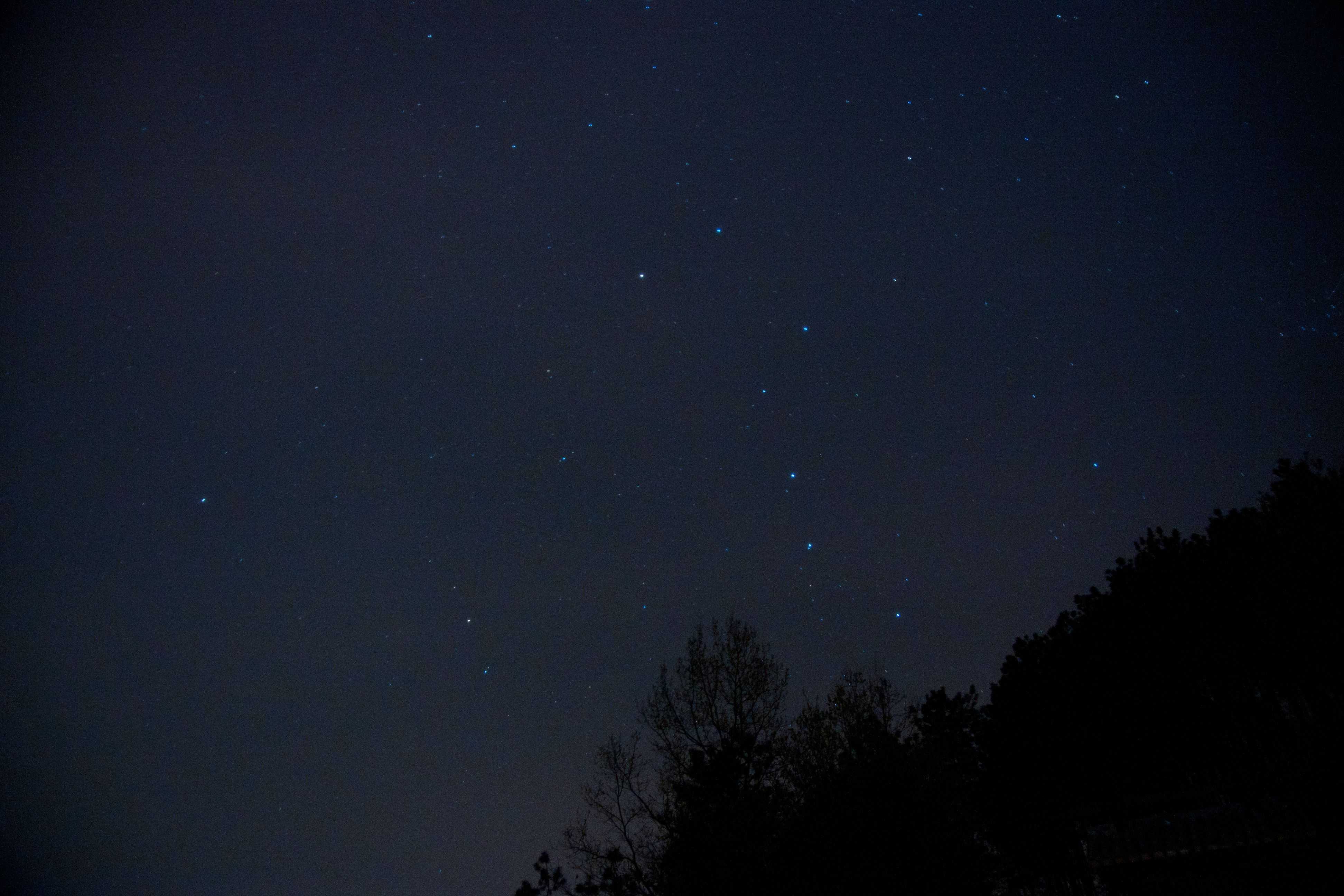 DSC08904-9.jpg