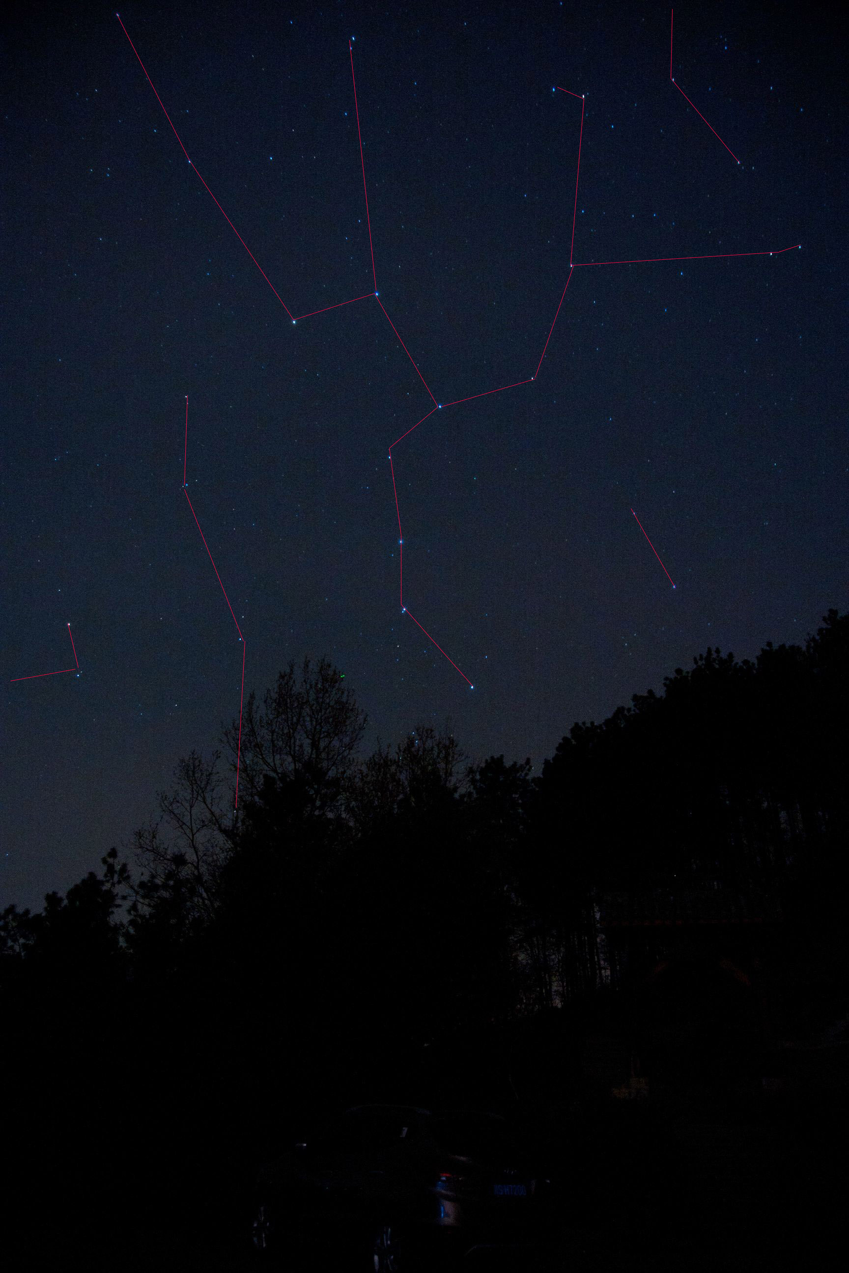 大熊座 星野副本.jpg