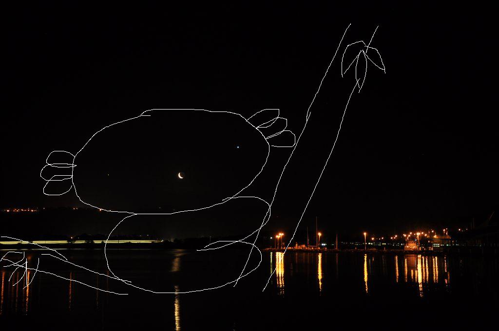 Koala in the sky.JPG