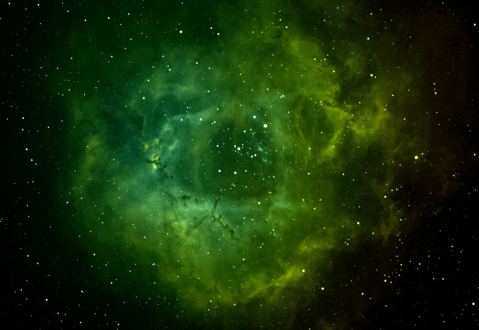 ngc2237.jpg