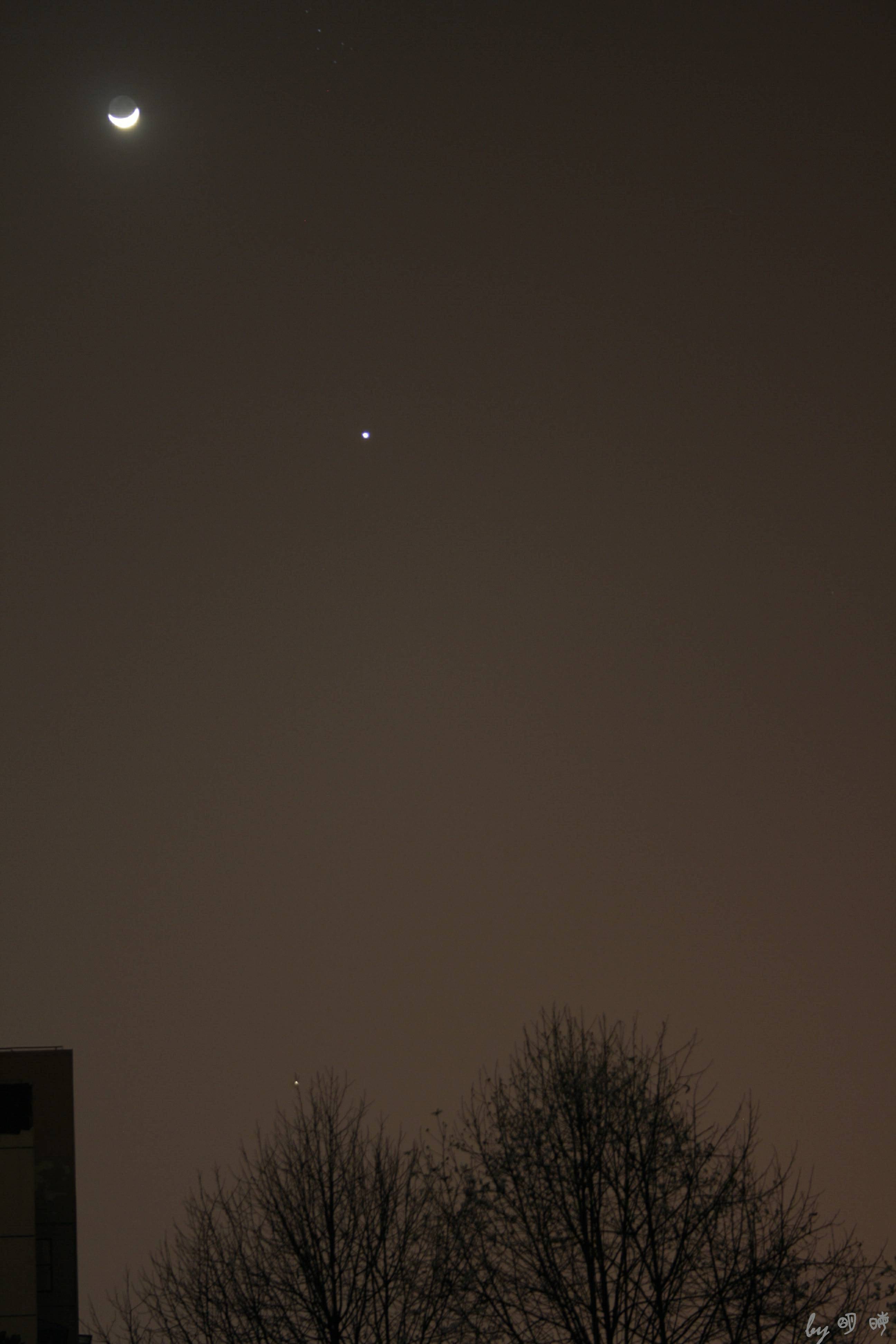 _MG_3961g.jpg