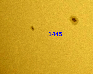 1445.jpg