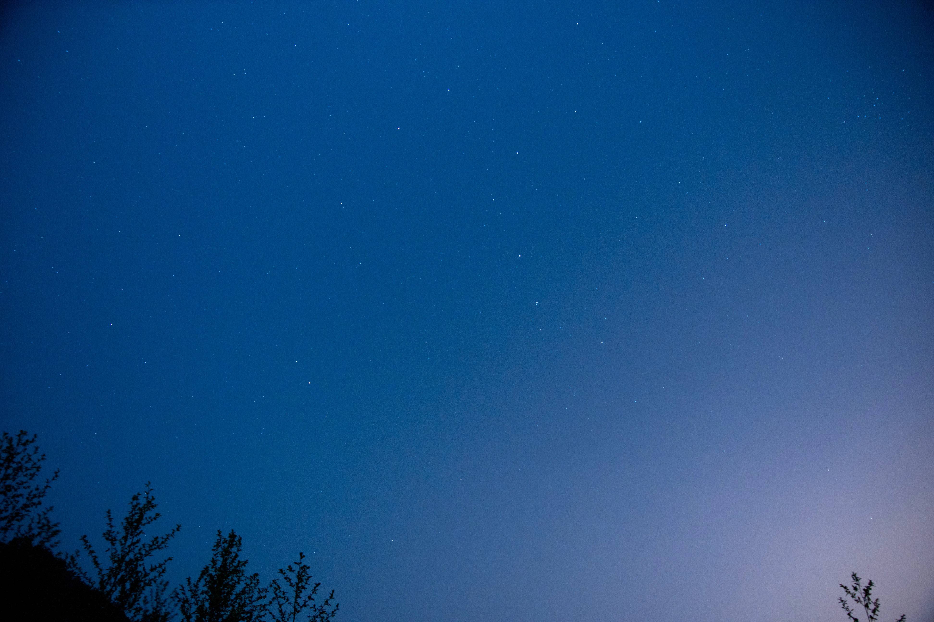 DSC08914-1.jpg