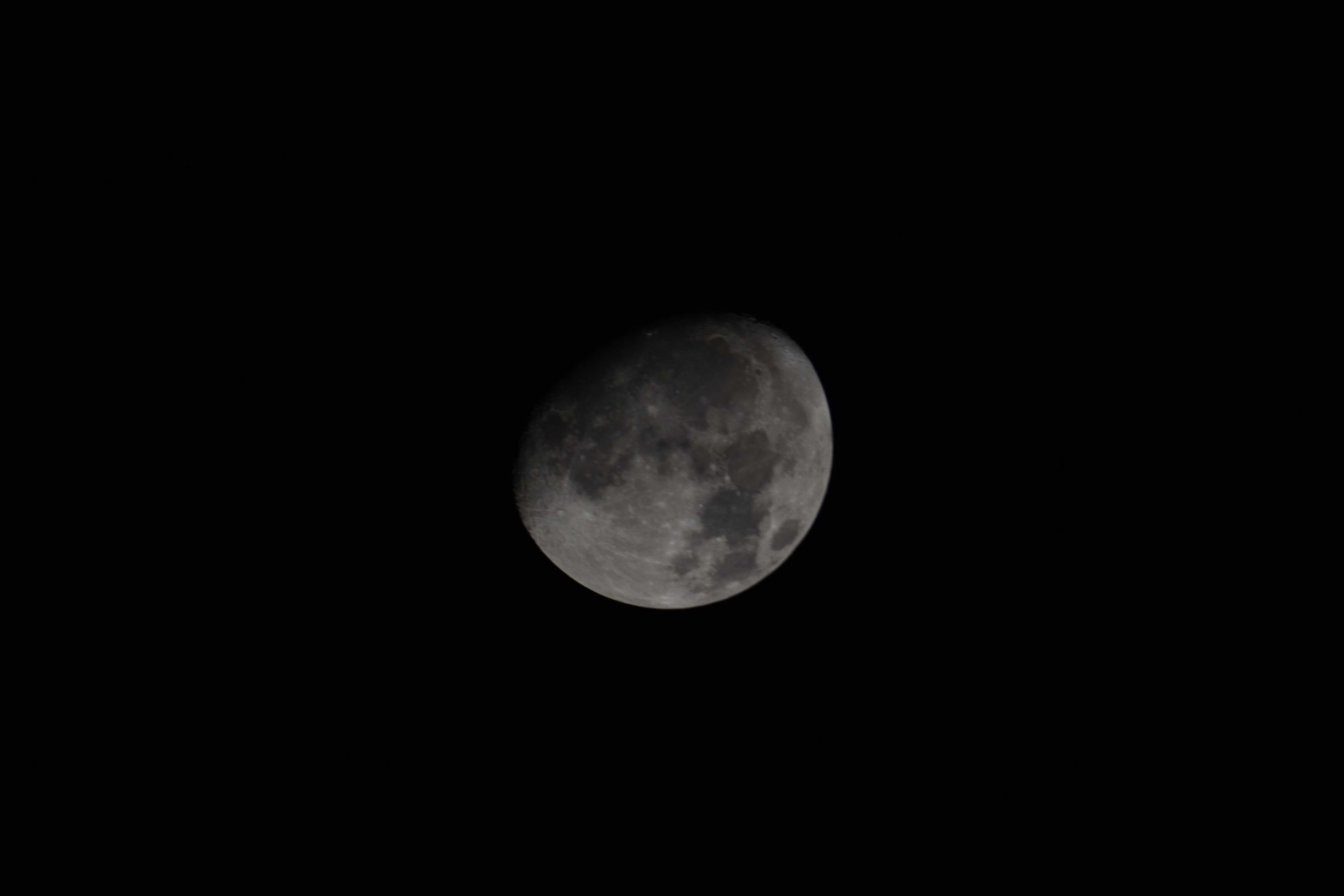 DSC_0027.jpg