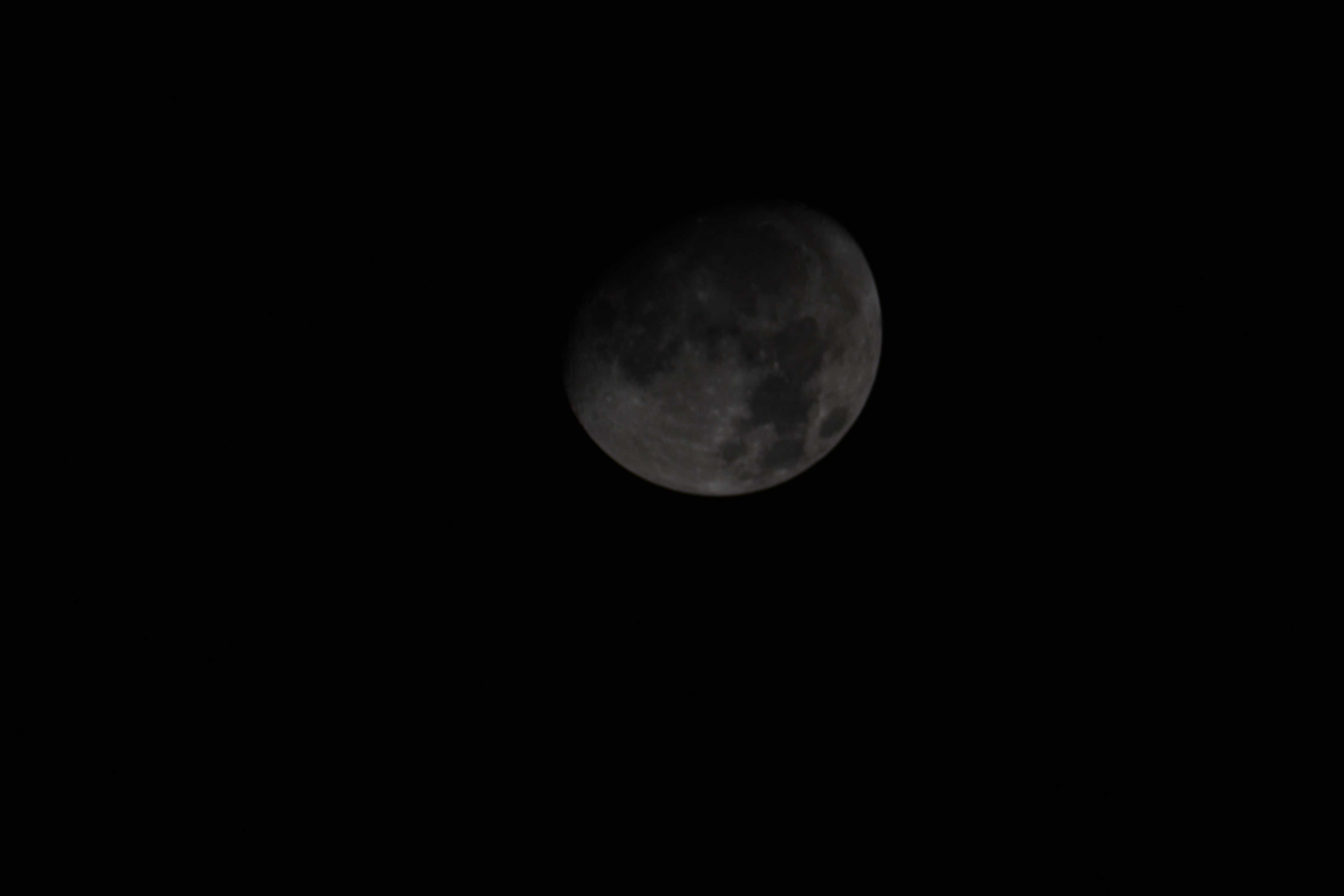 DSC_0028.jpg
