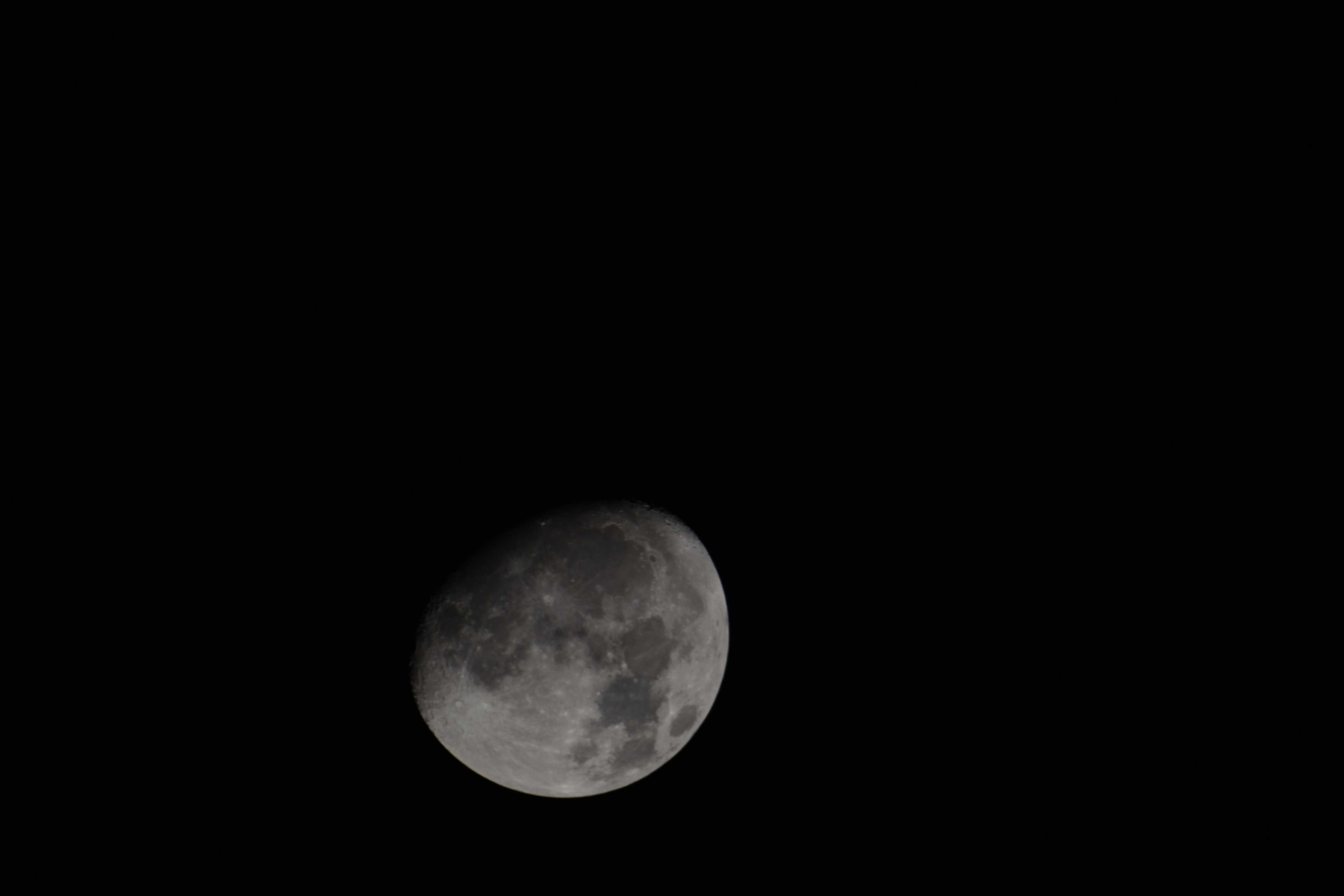 DSC_0029.jpg