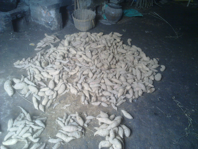 20120330872.jpg