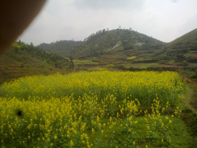 20120331875.jpg