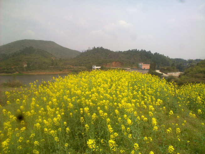 20120331876.jpg
