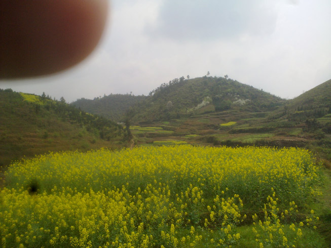 20120331877.jpg
