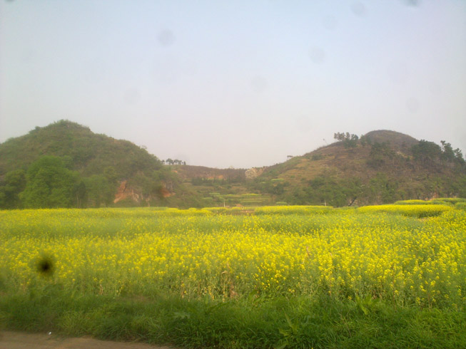 20120403878.jpg