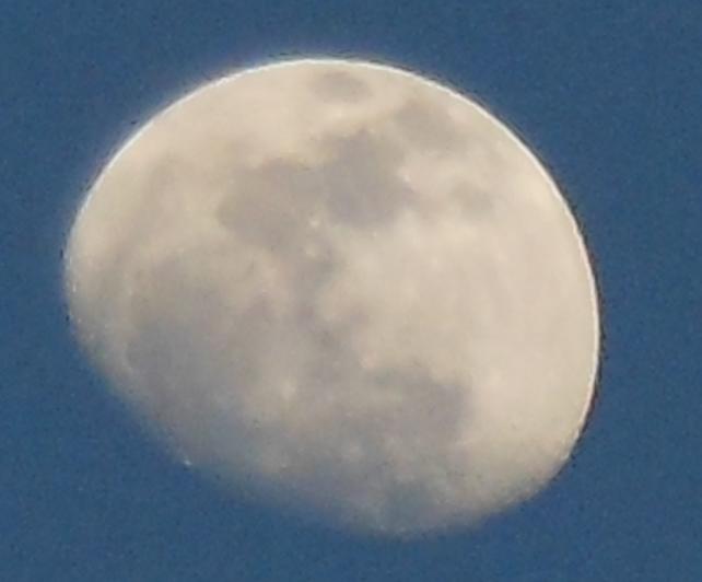 moon1.JPG