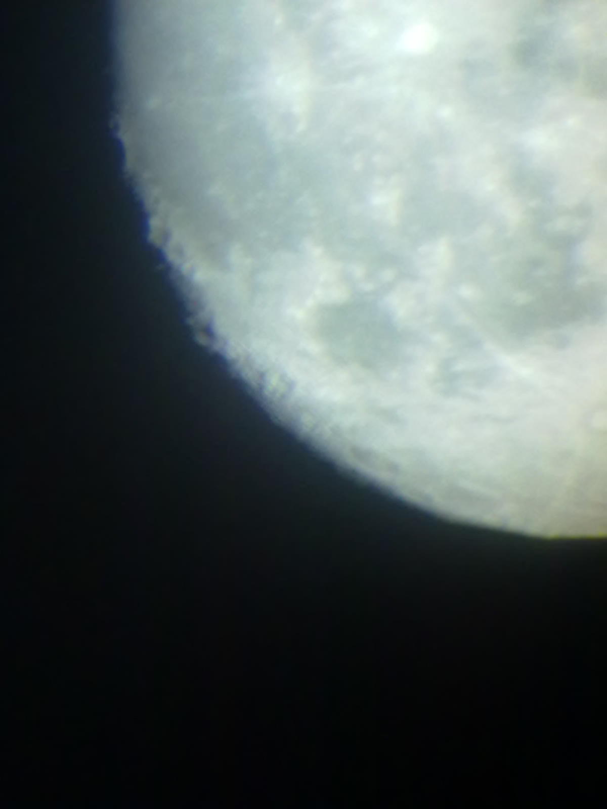 20120405002.jpg