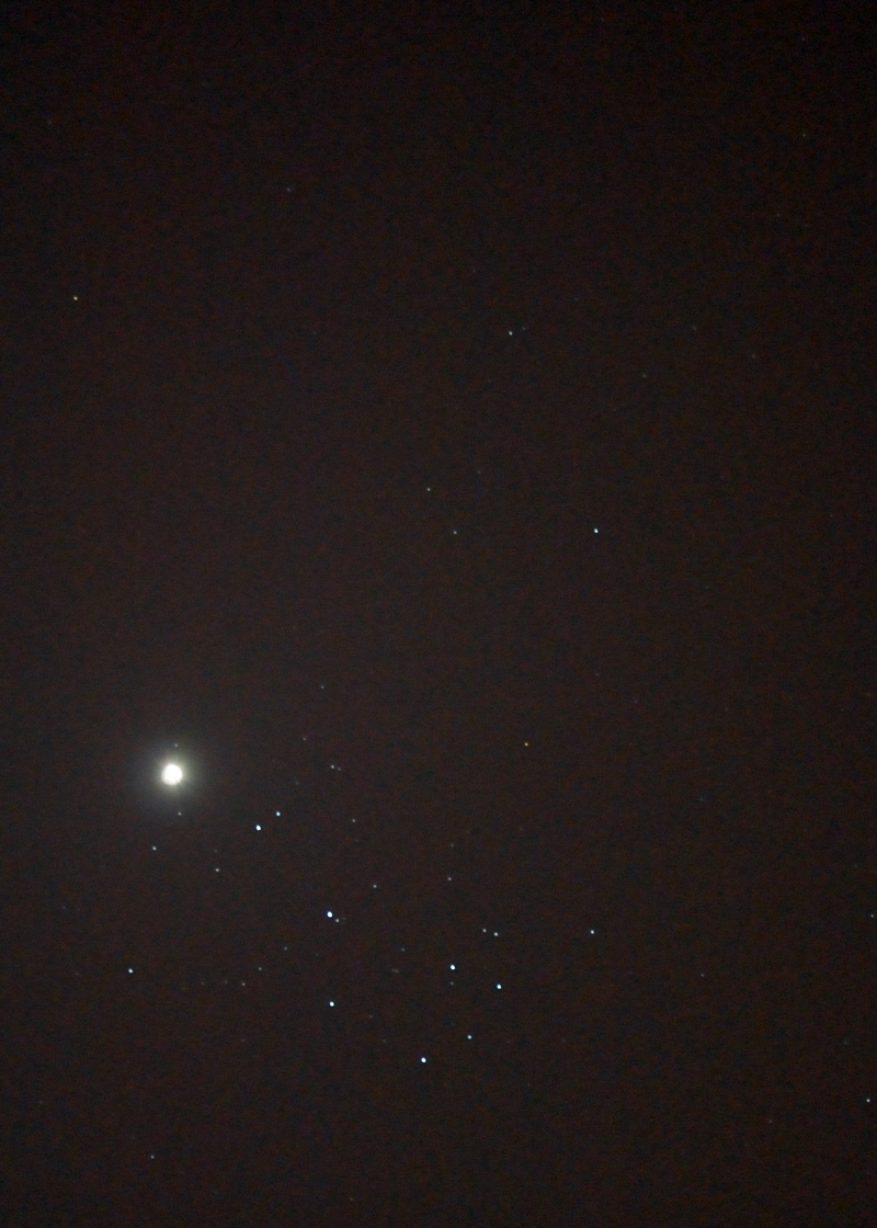 DSC_4507.jpg