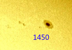 1450.jpg
