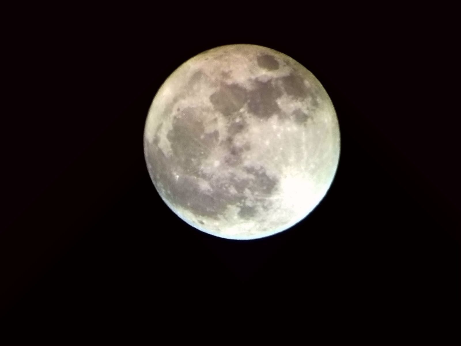 20120406009.jpg